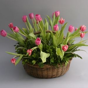 Canasta de tulipanes rosas