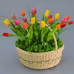 Canasta de tulipanes de colores